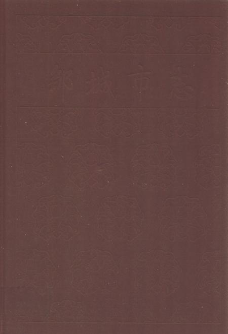 《邹城市志(1991~2005)》.pdf_山东省志