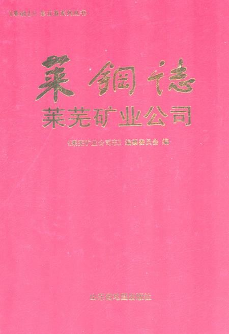 《莱钢志莱芜矿业公司(1996~2005)》.pdf_山东省志