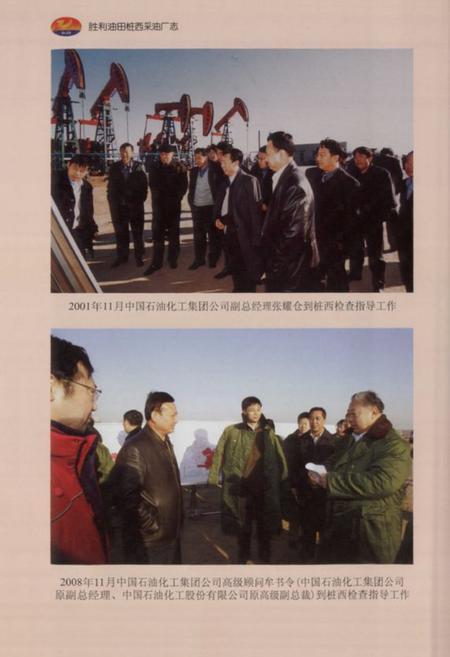 《胜利油田桩西采油厂志(2000-2009)》.pdf_山东省志插图5