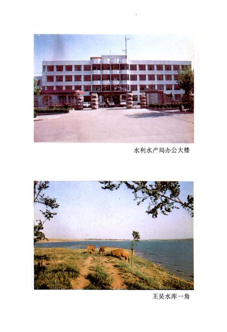 《高密县水利志》.pdf_山东省志插图4 《高密县水利志》.pdf_山东省志插图4