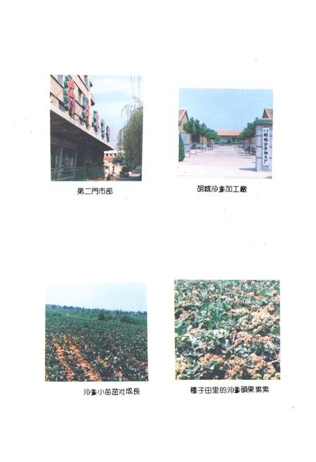 《莱阳县医药志》.pdf_山东省志插图5 《莱阳县医药志》.pdf_山东省志插图5