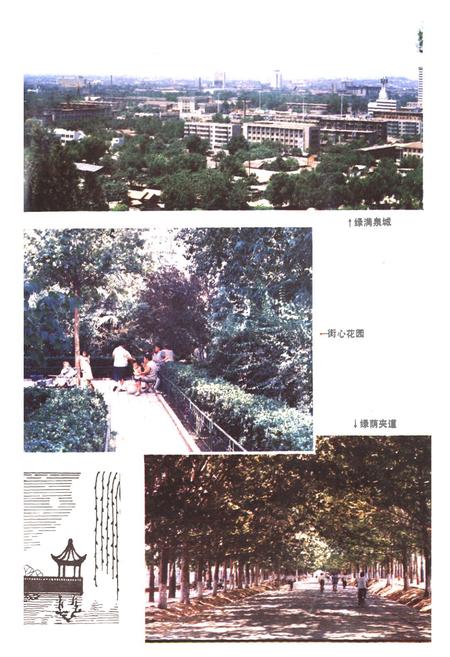 《济南市林业志》.pdf_山东省志插图4 《济南市林业志》.pdf_山东省志插图4