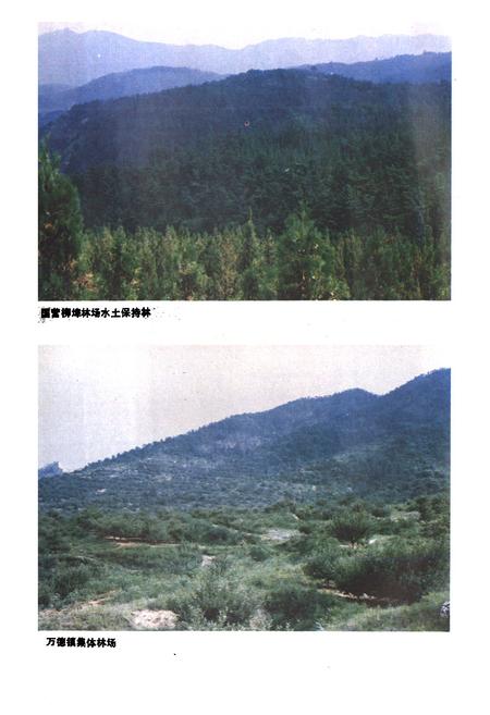 《济南市林业志》.pdf_山东省志插图5 《济南市林业志》.pdf_山东省志插图5