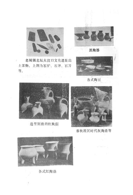 《《肥城县文物志》》.pdf_山东省志预览图4