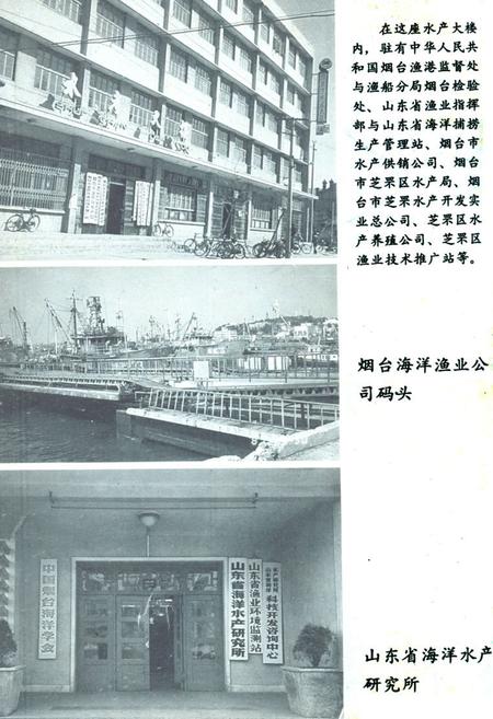 《芝罘水产志》.pdf_山东省志插图3 《芝罘水产志》.pdf_山东省志插图3