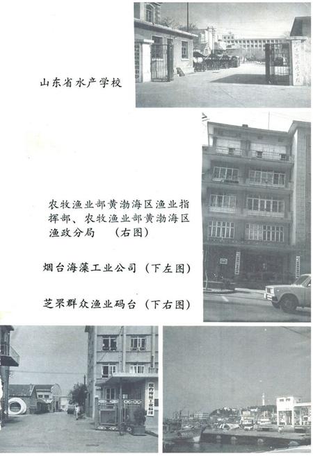 《芝罘水产志》.pdf_山东省志插图4 《芝罘水产志》.pdf_山东省志插图4
