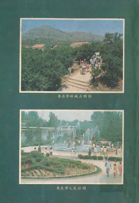 《《枣庄市对外贸易志》》.pdf_山东省志插图1