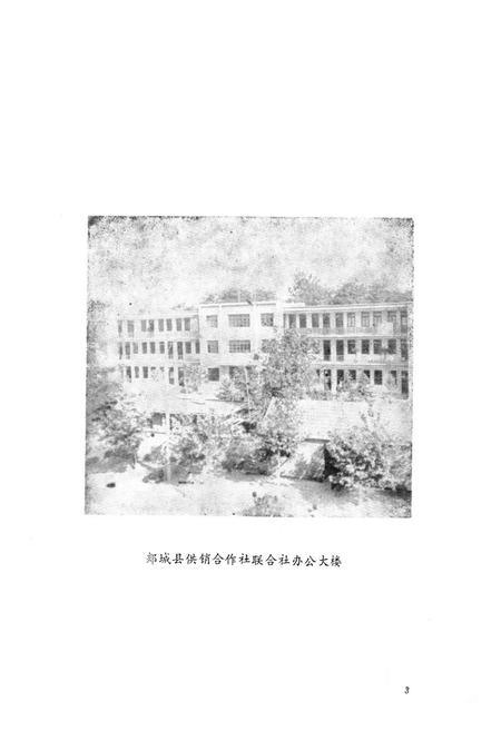 《《郯城县供销社志(1949-1985)》》.pdf_山东省志插图5