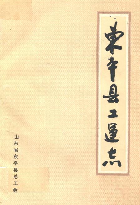 《《东平县工会志》》.pdf_山东省志插图 《《东平县工会志》》.pdf_山东省志插图