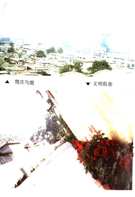 《《魏庄志》》.pdf_山东省志插图3