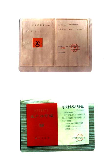 《《济南半导体元件实验所所志(1958-1985)》》.pdf_山东省志插图2