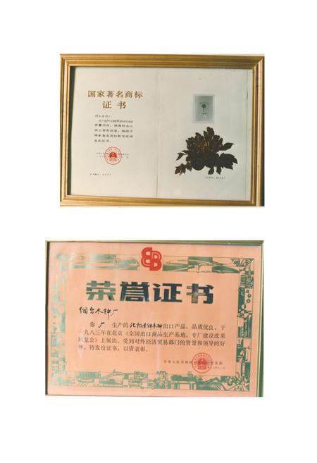 《烟台木钟厂志(1915-1985)》.pdf_山东省志插图2 《烟台木钟厂志(1915-1985)》.pdf_山东省志插图2