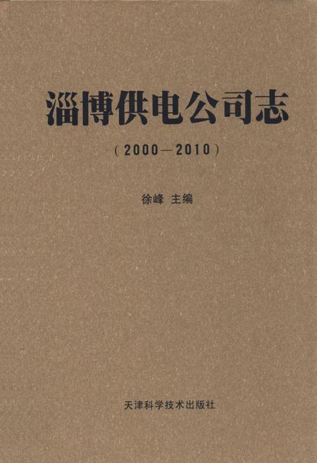 《淄博供电公司志(2000-2010)》.pdf_山东省志