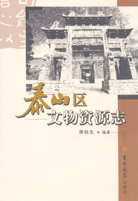 《《泰山区文物资源志》》.pdf_山东省志