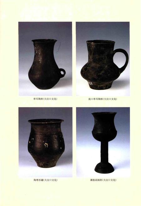 《五莲文物志》.pdf_山东省志插图5