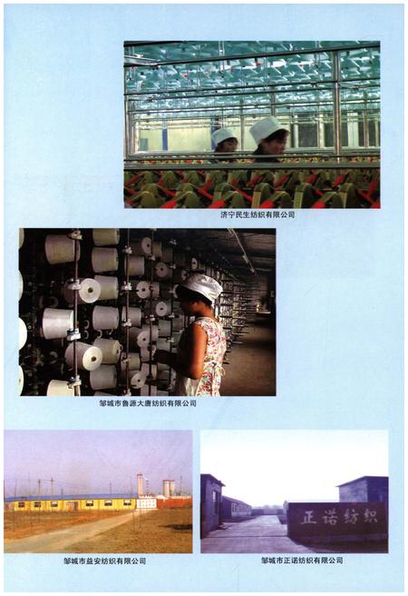 《邹城市唐村镇志》.pdf_山东省志