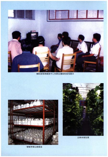 《邹城市唐村镇志》.pdf_山东省志插图3 《邹城市唐村镇志》.pdf_山东省志插图3