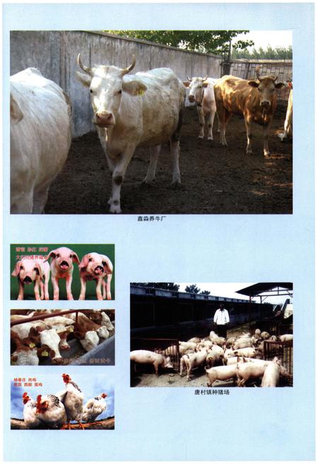 《邹城市唐村镇志》.pdf_山东省志插图4 《邹城市唐村镇志》.pdf_山东省志插图4