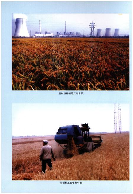 《邹城市唐村镇志》.pdf_山东省志插图5 《邹城市唐村镇志》.pdf_山东省志插图5