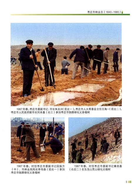 《枣庄市林业志(1840-1985)》.pdf_山东省志插图3
