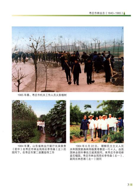 《枣庄市林业志(1840-1985)》.pdf_山东省志插图5