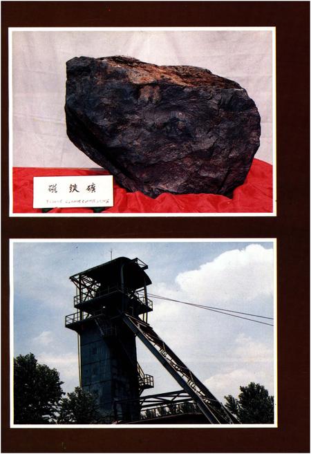 《济南张马屯铁矿志 全一卷1966-1985》.pdf_山东省志插图2