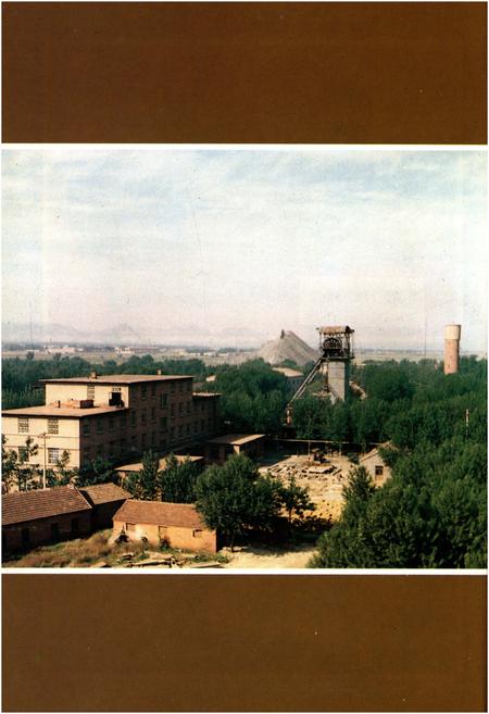 《济南张马屯铁矿志 全一卷1966-1985》.pdf_山东省志插图3