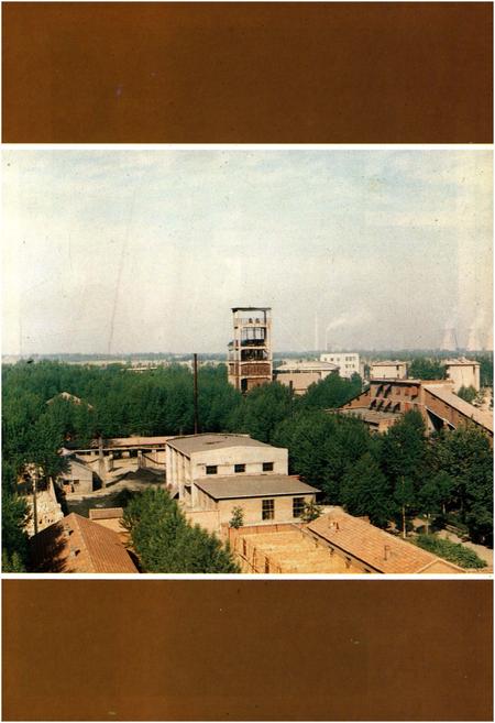 《济南张马屯铁矿志 全一卷1966-1985》.pdf_山东省志插图4