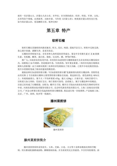 《山东鲁南明珠:枣庄(上)》.pdf_山东省志插图4 《山东鲁南明珠:枣庄(上)》.pdf_山东省志插图4