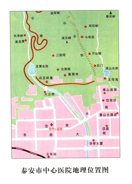 《山东省泰安市中心医院志》.pdf_山东省志插图3