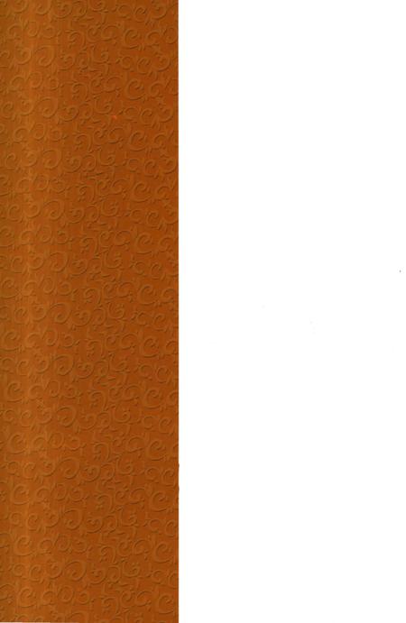 《聊城市食品药品监督管理志(1999-2011)》.pdf_山东省志插图1 《聊城市食品药品监督管理志(1999-2011)》.pdf_山东省志插图1