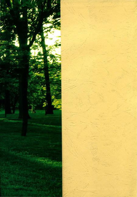 《商河县林业志》.pdf_山东省志插图1 《商河县林业志》.pdf_山东省志插图1