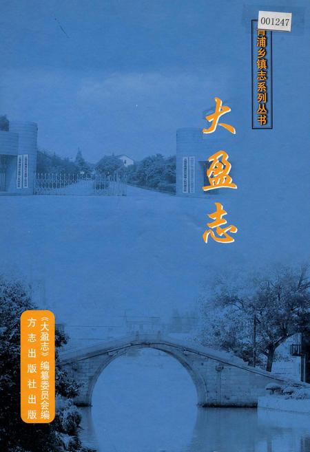 《大盈志》.pdf_上海市志