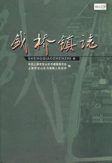 《盛桥镇志》.pdf_上海市志