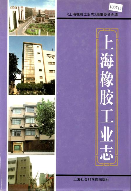 《上海橡胶工业志》.pdf_上海市志