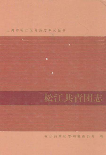 《松江共青团志》.pdf_上海市志