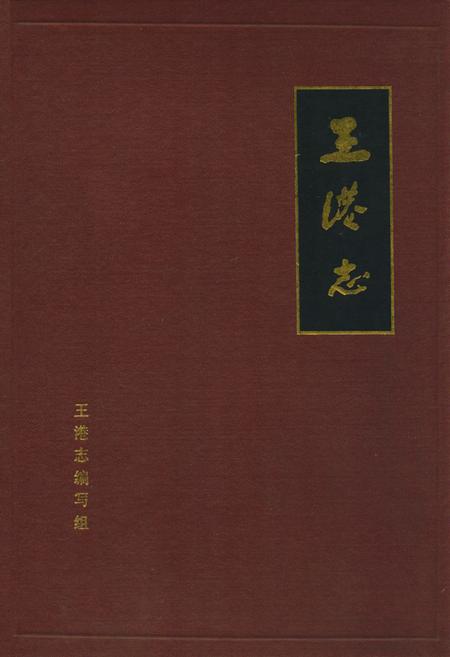 《王港志》.pdf_上海市志
