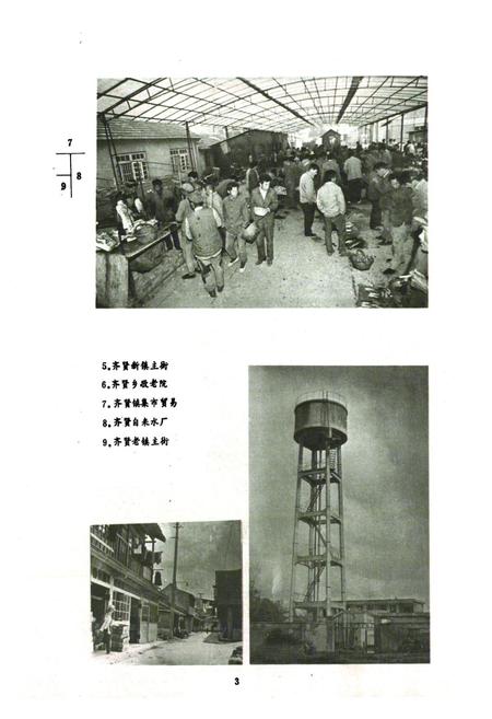 《齐贤志》.pdf_上海市志插图5