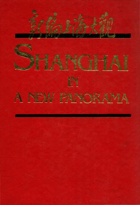 《新编上海大观》.pdf_上海市志