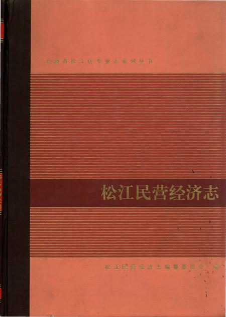 《松江民营经济志》.pdf_上海市志