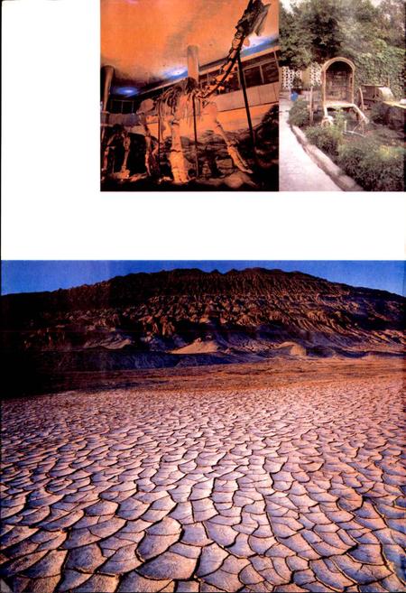 《新疆吐鲁番风物志》.pdf_新疆维吾尔自治区志插图5 《新疆吐鲁番风物志》.pdf_新疆维吾尔自治区志插图5