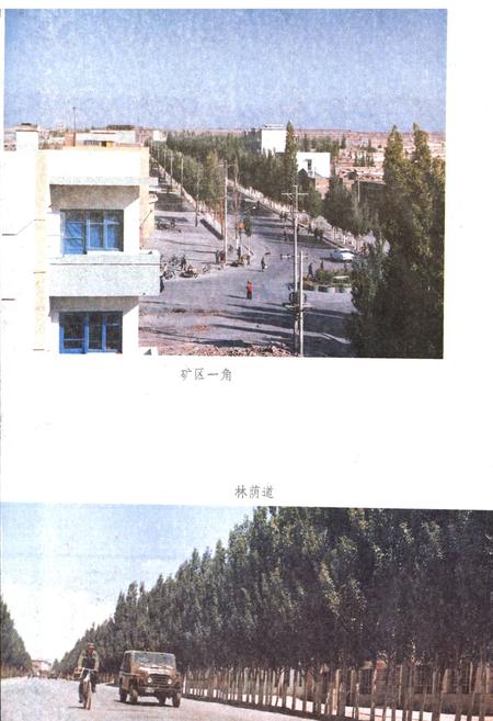 《哈密矿务局志》.pdf_新疆维吾尔自治区志插图3