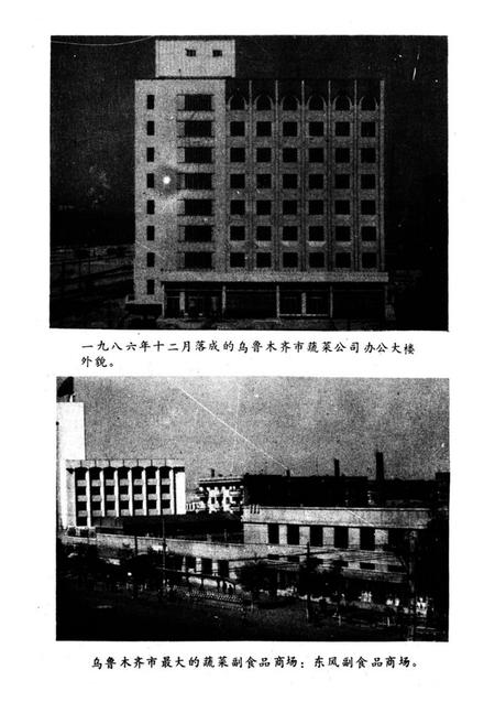 《乌鲁木齐蔬菜志》.pdf_新疆维吾尔自治区志插图4 《乌鲁木齐蔬菜志》.pdf_新疆维吾尔自治区志插图4