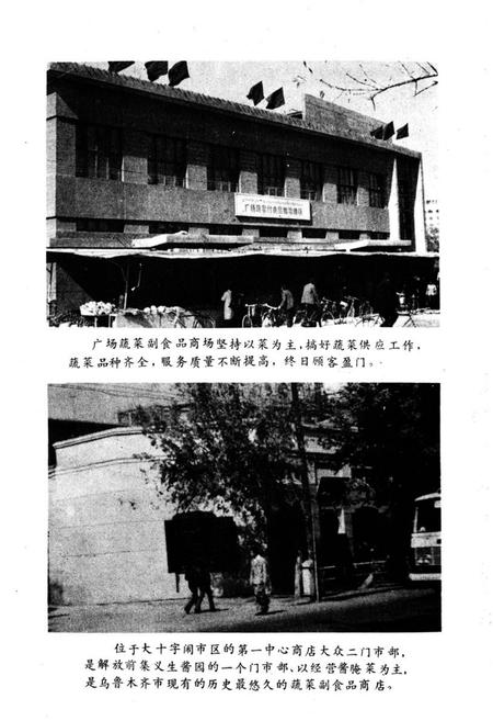 《乌鲁木齐蔬菜志》.pdf_新疆维吾尔自治区志插图5 《乌鲁木齐蔬菜志》.pdf_新疆维吾尔自治区志插图5