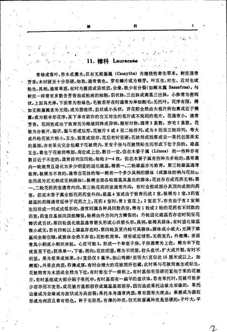 《云南植物志 第三卷》.pdf_云南省志插图4 《云南植物志 第三卷》.pdf_云南省志插图4