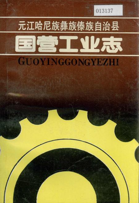 《元江哈尼族彝族傣族自治县国营工业志》.pdf_云南省志