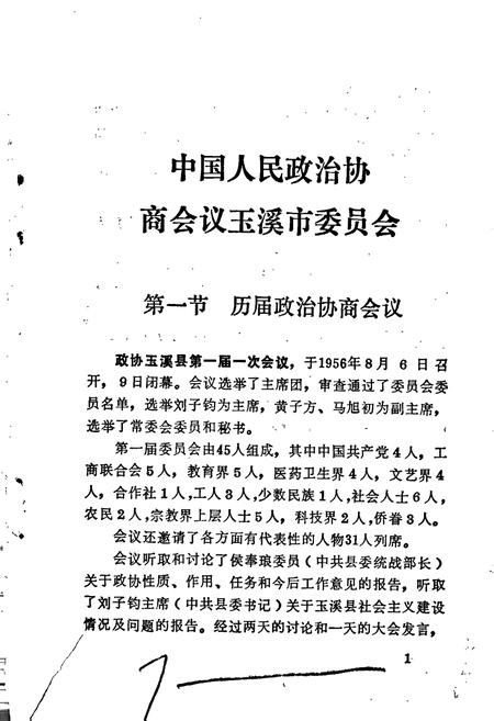 《玉溪市政协简志·妇联志》.pdf_云南省志插图5