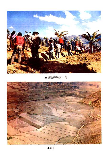 《凤庆县农业志》.pdf_云南省志插图5 《凤庆县农业志》.pdf_云南省志插图5