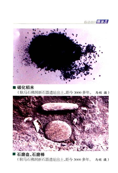《临沧地区粮油志》.pdf_云南省志插图5
