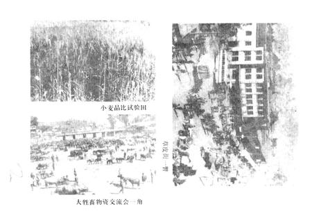 《爱华镇志》.pdf_云南省志插图2